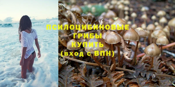 эйфоретик Горно-Алтайск